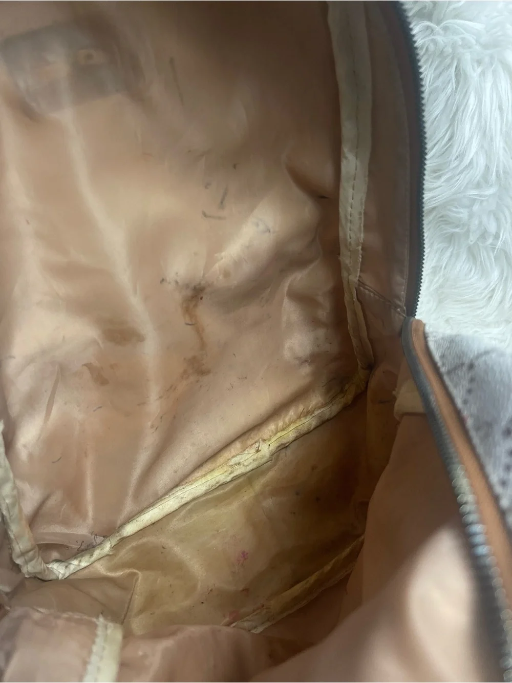 Babyphat synthetic Beige Patterned Backpack with Brown Trim gold accent